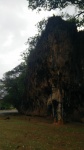 Entre Baracoa et Moa